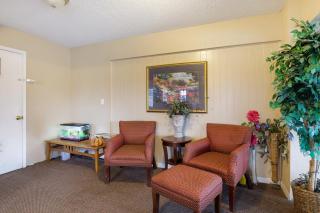 OYO Hotel Branson MO-165 - Branson - 5