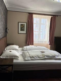 Hotel Gasthof Zum Ochsen - Furtwangen - 3