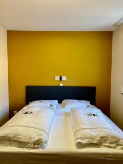 Hotel Gasthof Zum Ochsen - Furtwangen - 5