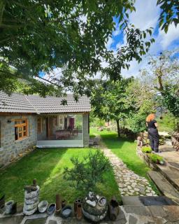 Bujtina Peshtan Guesthouse&Camping - Tepelenë - 9