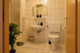 Alpenluxe Suite Ferienwohnung - Zwiesel - 8