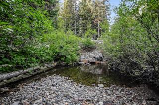 Alpine Retreat at Snoqualmie Pass- 5-Min to Slopes, Private Creek, BBQ, Fireplace, Smart TVs, Kids Games, Hi-Speed Wi-Fi - 1