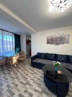 Dilijan's apartments - Dilijan - 7