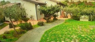 Il Giardino di Galatea - 0