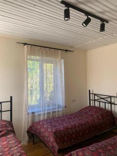 Tumanyan Guesthouse - Dsegh - 9