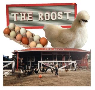 The Roost Cabins - Lakehills - 1