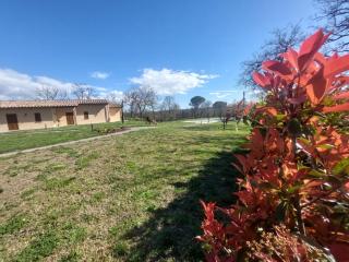 Relais e Spa l'Antica Fornace - Città della Pieve - 4