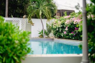 Tropical Stay at Puru Resort - Willemstad - 6