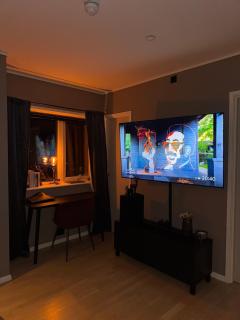 3-room downtown apartment - 2