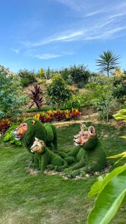 Hotel PAUCHÉ Topiario Zapatoca - 1