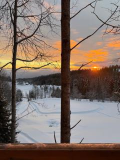LAUV Tretopphytter - Eidsvoll - 3