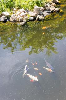 10 min walk from city center - 7