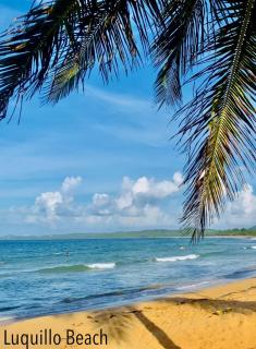 BeachBums Hideaway - Luquillo - 0