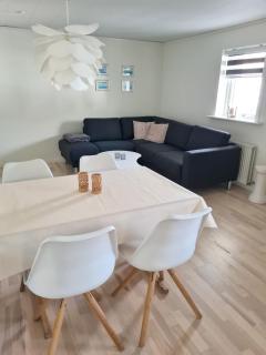 Charming groundfloor apartment close to airport - 8