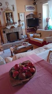Areti's Captain's House with Private Terrace - Galaxidi - 4