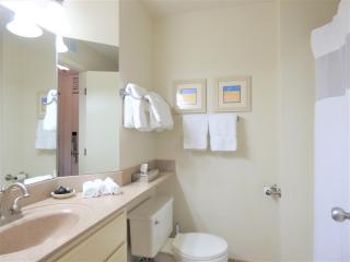 Beautiful 2 Bedroom Lakeside Condo at The Shores 5677 - Traverse City - 6