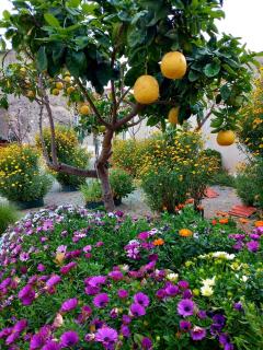4Seasons Suites Paradise Near Airport - Markopoulon - 3