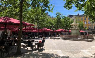 Le nid des remparts - Carcassonne - 3