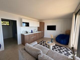 T2 standing 50m2, vue mer - Albitreccia - 8