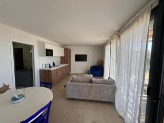 T2 standing 50m2, vue mer - Albitreccia - 1