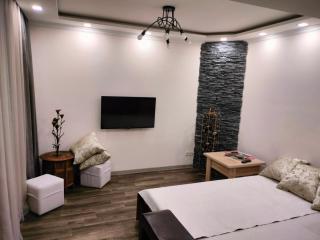 CITY VIEW PENTHOUSE - Erevan - 3