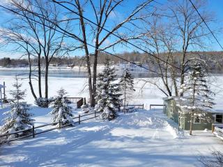 Castaway Cottage on Croton Pond #3 - Newaygo - 5