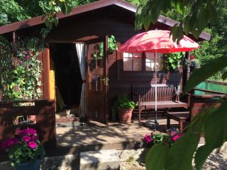The Old Log Cabin - 8