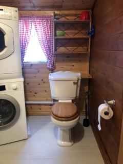 The Old Log Cabin - 1