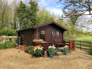 The Old Log Cabin - 0