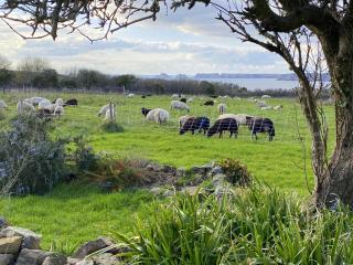 Penty Kergonan avec belle vue mer - Crozon, Bretagne - 9