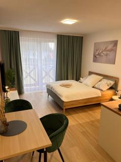 Moderný apartmán Siesta Key v srdci Rajeckých Teplíc - Žilina - 0