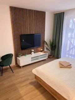 Moderný apartmán Siesta Key v srdci Rajeckých Teplíc - Žilina - 6