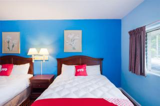 Hotel Salem-Roanoke I-81 -Listing Partner - Salem - 3