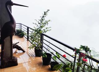 Batad Pension and Restaurant Native House - Banaue - 3