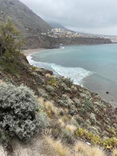 Quiet house with spectacular ocean views - Punta del Hidalgo - 2
