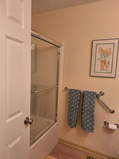 A Symphony of Class and Comfort - Rochester - 3
