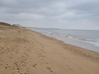 Dune and sea view T2 - Saint-Hilaire-de-Riez - 4