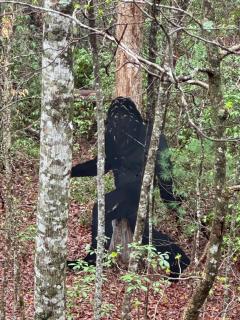 Relax in a cozy cabin 10 min to Helen - Fireplace - Sautee Nacoochee - 9