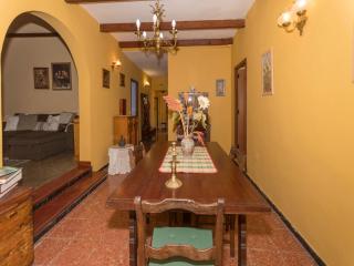 Country House Between Firgas and Valleseco - Valleseco - 8