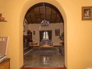 Country House Between Firgas and Valleseco - Valleseco - 3