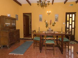Country House Between Firgas and Valleseco - Valleseco - 2