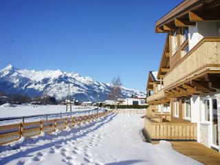 Luxurious Apartment in Zell am See near Ski Area - Zell am See - 4