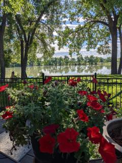 Heron Pond - 8