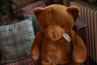 La Tana dell'Orso Bormio - Nature and Welness - 8