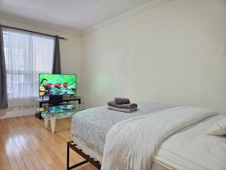 Central Downtown Toronto - Trinity Bellwood Park - 2