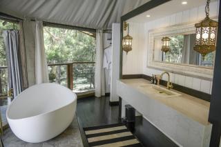 Paperbark Camp - Woollamia - 9