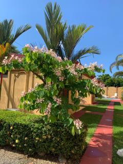 Villas BRENES - Uvita - 3