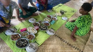 Village Stay Fiji at Navai Village Fiji - 3