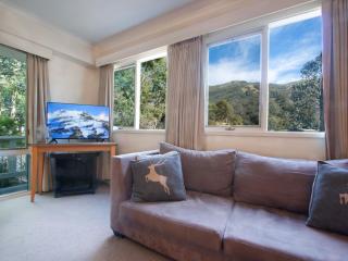 Sequoia 2 - Thredbo - 7