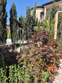 Green Garden Shuvelan - Baku - 9